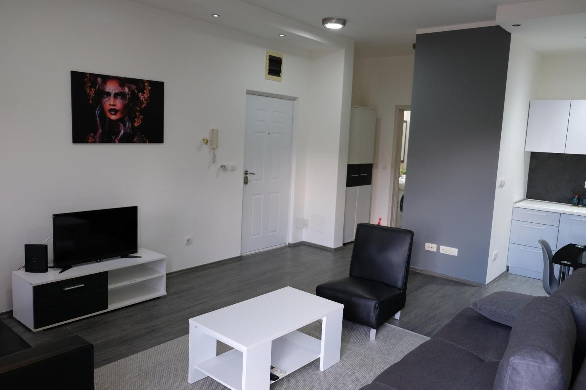 Ring Inn Apartments Obrenovac  Cameră foto